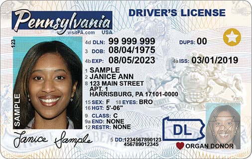 Driver's License 2: License to Drive, Wikisimpsons